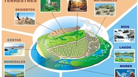 Timeline: HISTORIA DE ECOSISTEMA