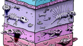 Timeline: geologic column