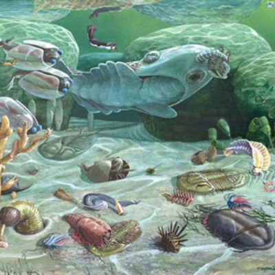 Timeline: Era paleozoica