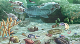 Timeline: Era paleozoica