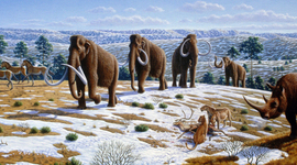 Timeline: La era cenozoica