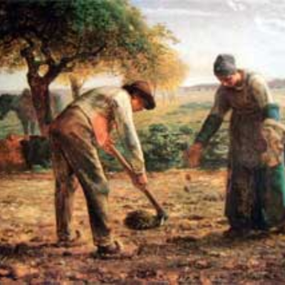 Timeline: Evolució de la pagesia