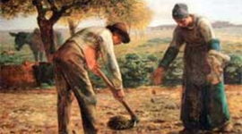 Timeline: Evolució de la pagesia