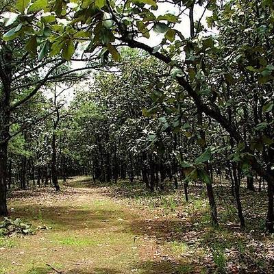 Timeline: EquipoDinamita2.0_503