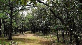 Timeline: EquipoDinamita2.0_503