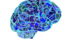 Timeline: Desarrollo de la neuropsicología