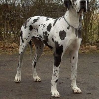 Timeline: mi biografia