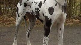 Timeline: mi biografia