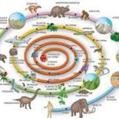 Timeline: evolución de la vida en la tierra