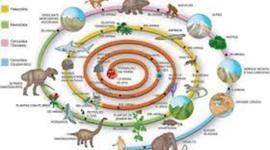 Timeline: evolución de la vida en la tierra