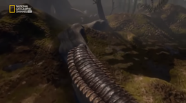 Timeline: La formación de la Tierra