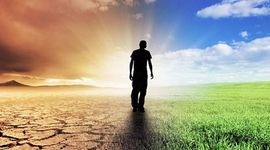 Timeline: julian david avendaño salgado