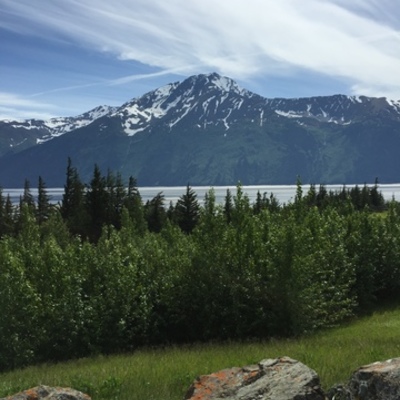 Timeline: Erickson Timeline