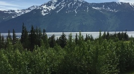 Timeline: Erickson Timeline