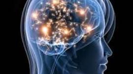 Timeline: Desarrollo de la Neuropsicología