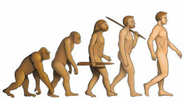 Timeline: Evolucion del hombre