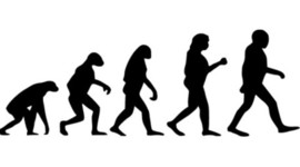 Timeline: Origen del hombre: Evolución