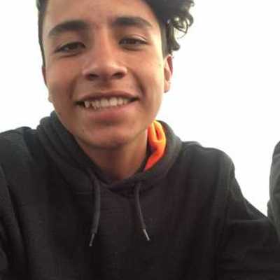 Timeline: Linea del tiempo