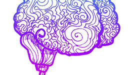 Timeline: Historia del cerebro