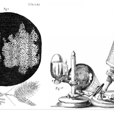 Timeline: Teoría célular