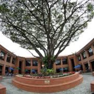 Timeline: Carrera Contaduría Pública y Finanzas Internacionales Universidad Icesi, cali