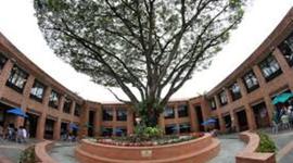 Timeline: Carrera Contaduría Pública y Finanzas Internacionales Universidad Icesi, cali