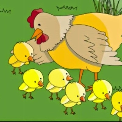 Timeline: PROYECTO "EL POLLITO"