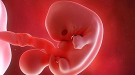 Timeline: Bioéthique