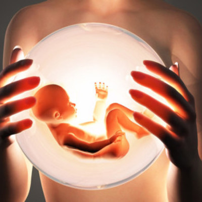 Timeline: Embriologia : sistema circulatorio y respiratorio.