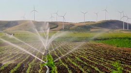 Timeline: sistema de riego automatizado