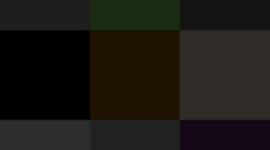 Timeline: Anne d'Harnoncourt- Museografia- Lorena Ortiz