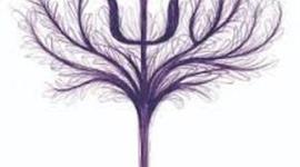 Timeline: CRONOLOGÍA