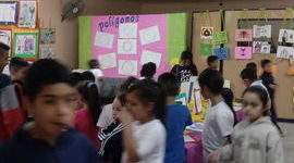 Timeline: Mi Carrera Profesional