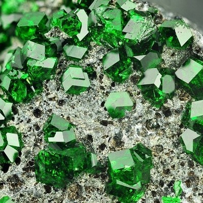 Timeline: AUGE Y CAIDA DE LAS ESMERALDAS