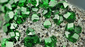 Timeline: AUGE Y CAIDA DE LAS ESMERALDAS