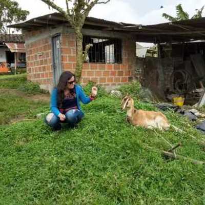 Timeline: Luz's Biography