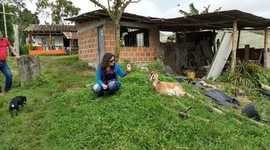 Timeline: Luz's Biography