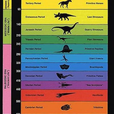 Timeline: The Geologic Colomn