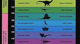 Timeline: The Geologic Colomn