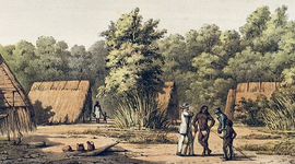 Timeline: Familia Arawak