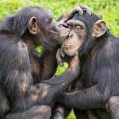 Timeline: PROYECTO DE HISTORIA ROBERTO MARTIN GLEZ SERRANO