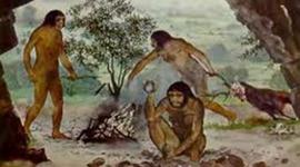 Timeline: The Geologic Column (Period)