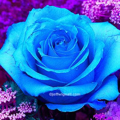 Timeline: Morris-Texas revolutions