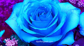 Timeline: Morris-Texas revolutions