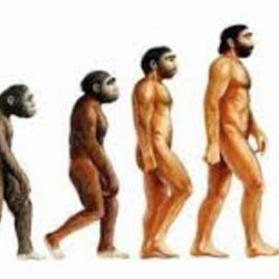 Timeline: El origen del hombre