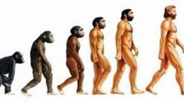 Timeline: El origen del hombre