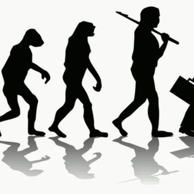 Timeline: EVOLUCIÓN DEL HOMBRE