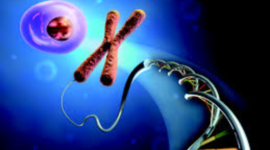 Timeline: La importancia de la genetica