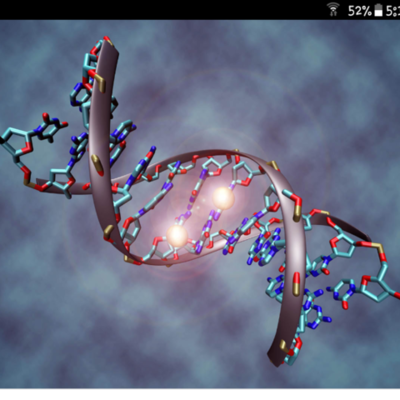 Timeline: Que hacen los genes