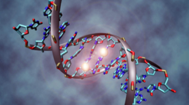 Timeline: Que hacen los genes